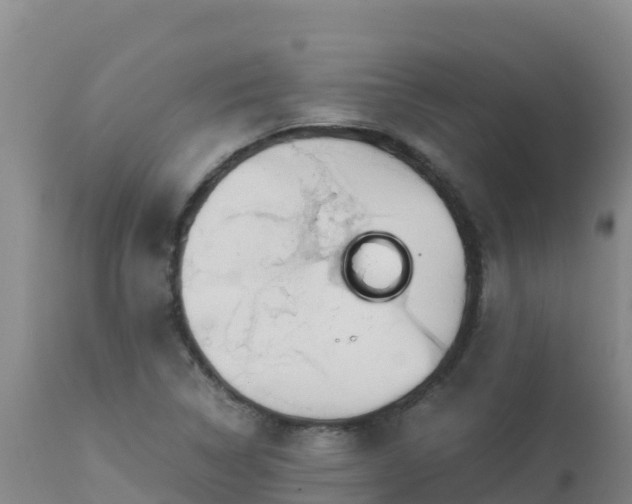 X0000112901314200908281715