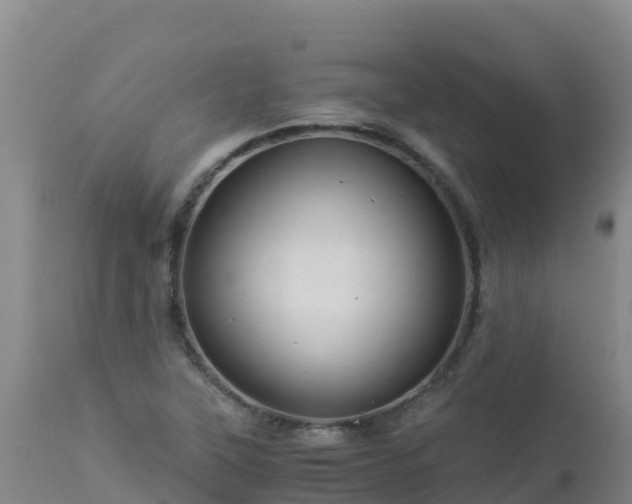 X0000112901315200908281715