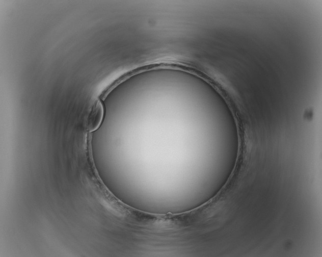 X0000112901316200908281715