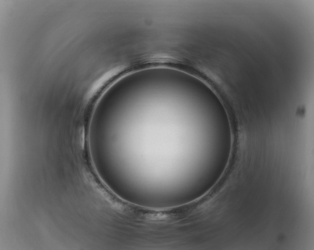 X0000112901317200908281715