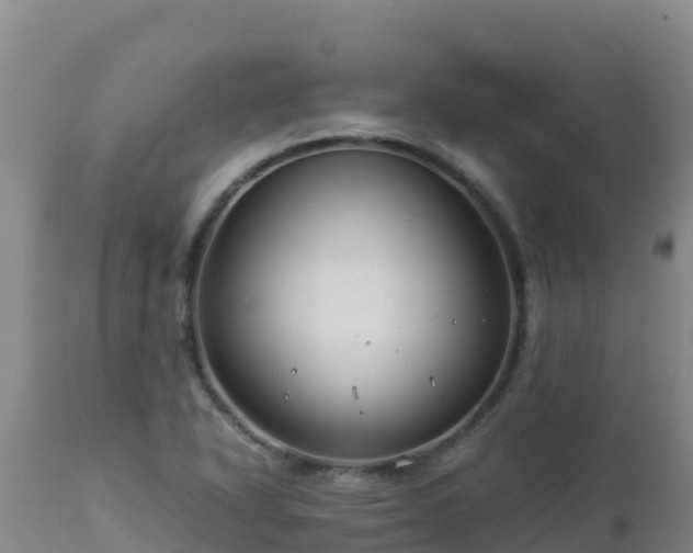 X0000112901318200908281715