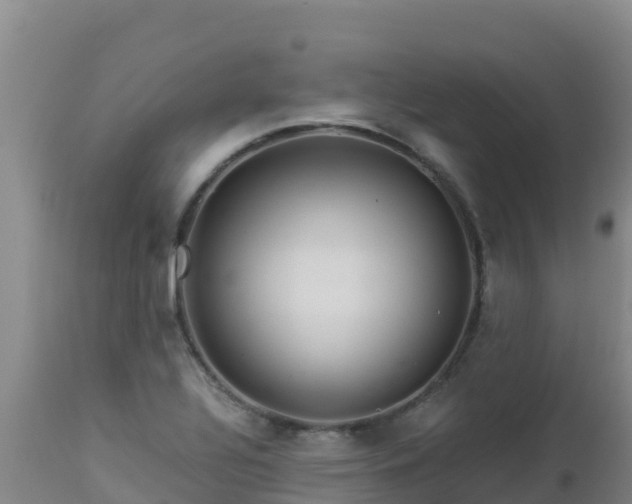 X0000112901320200908281715