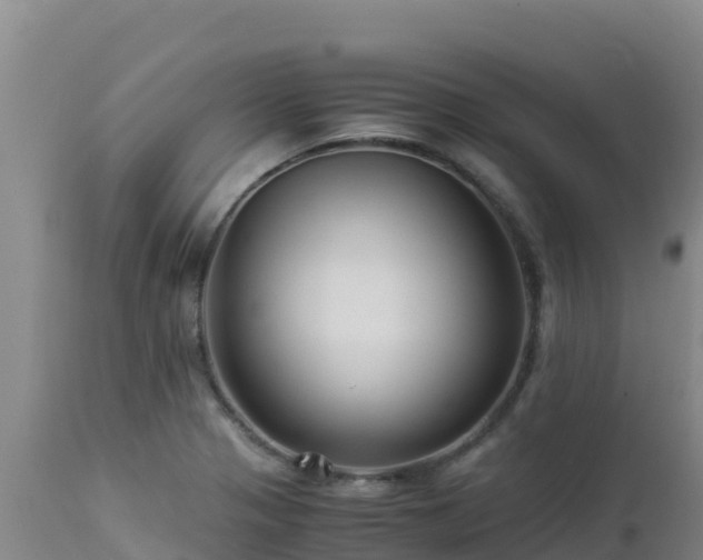 X0000112901321200908281715