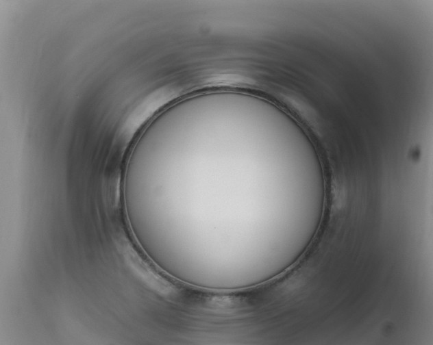 X0000112901322200908281715