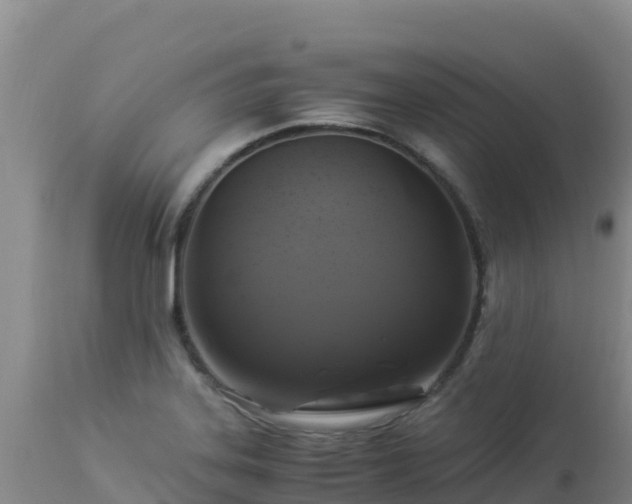 X0000112901323200908281715