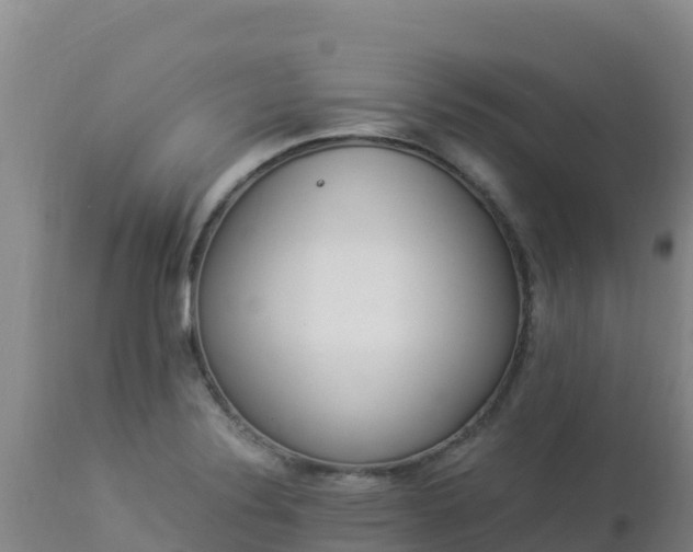 X0000112901324200908281715