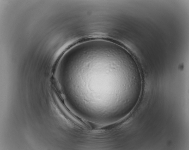 X0000112901325200908281715