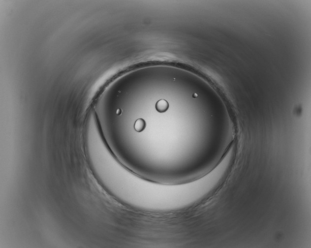 X0000112901326200908281715