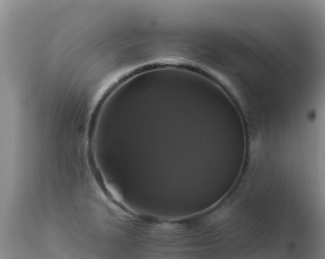 X0000112901327200908281715