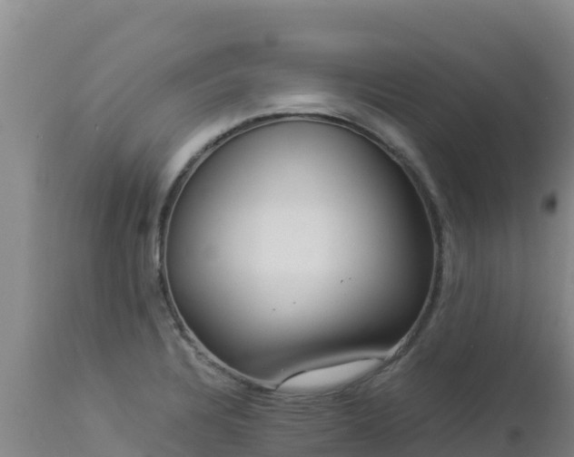 X0000112901328200908281715