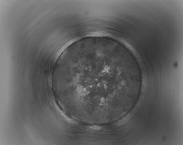 X0000112901329200908281715