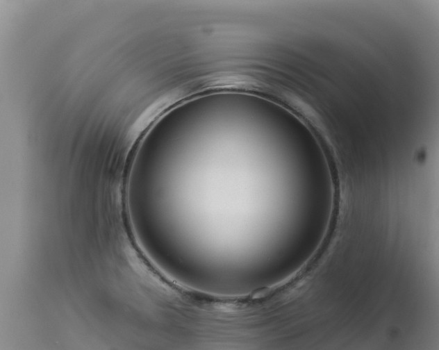 X0000112901330200908281715