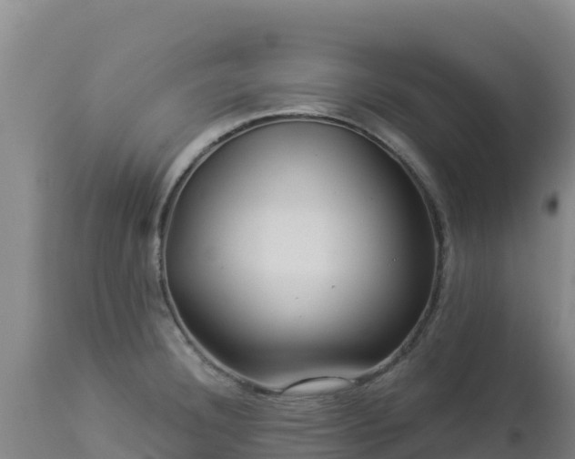 X0000112901332200908281715