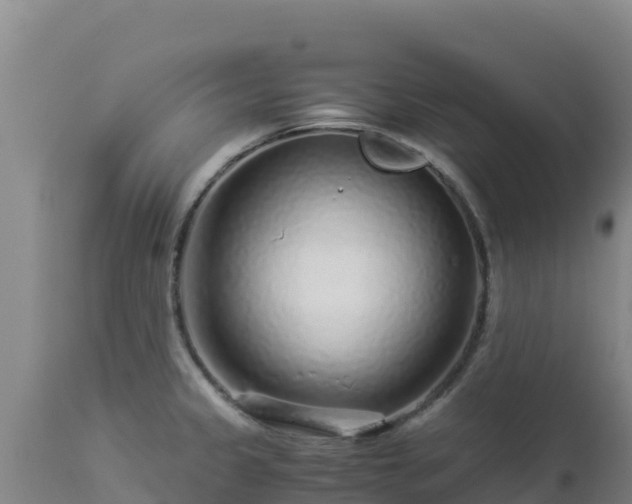 X0000112901333200908281715