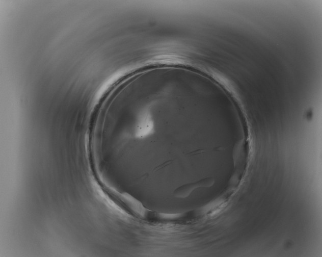 X0000112901334200908281715