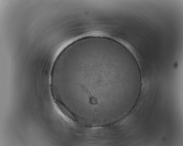 X0000112901335200908281715