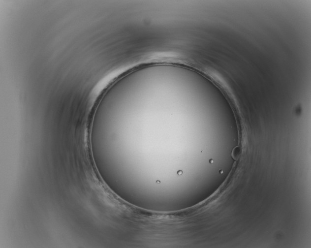 X0000112901336200908281715