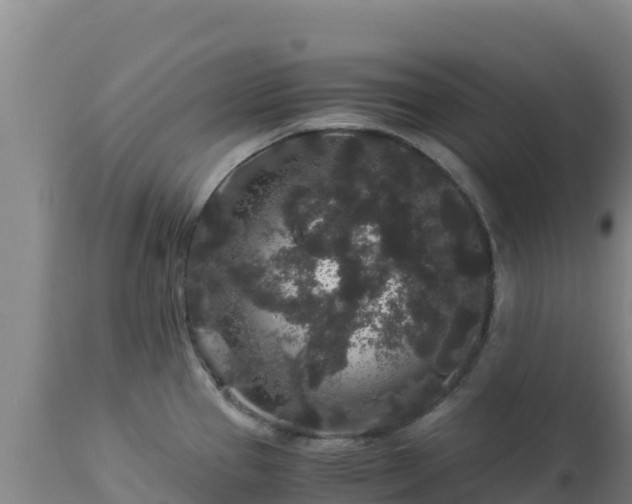 X0000112901337200908281715