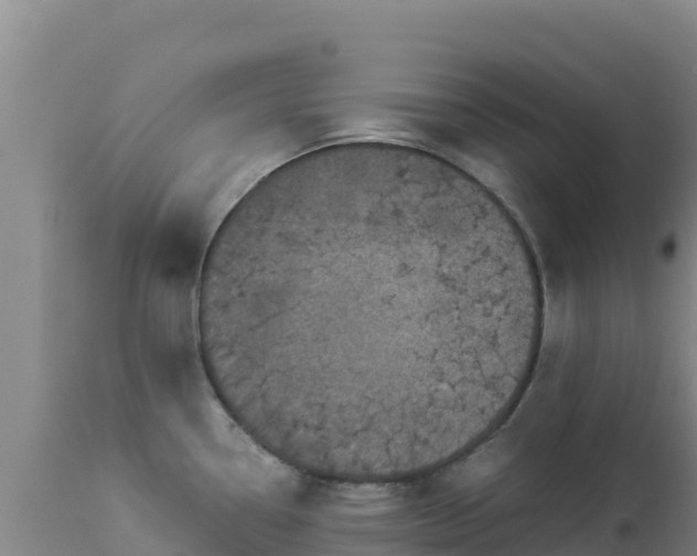 X0000112901338200908281715