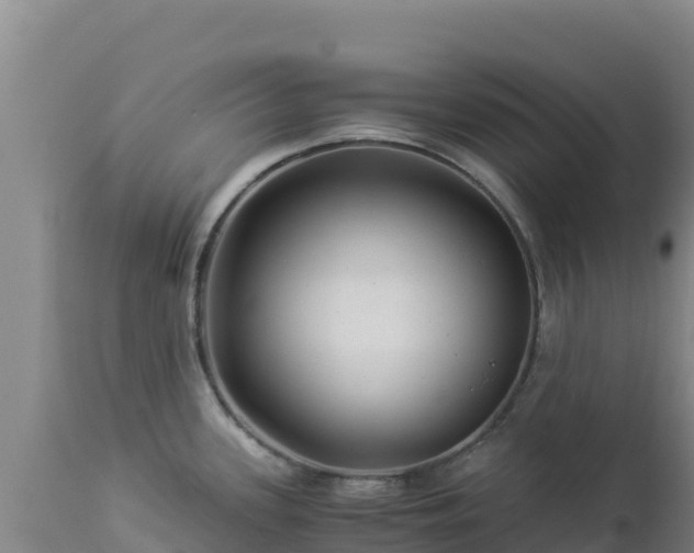 X0000112901339200908281715