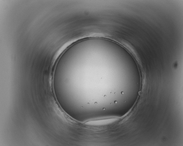 X0000112901340200908281715