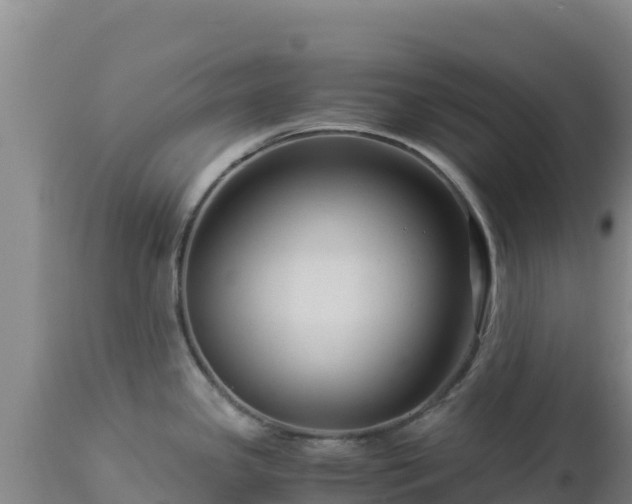 X0000112901341200908281715