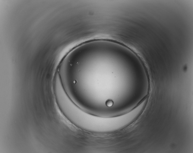 X0000112901342200908281715