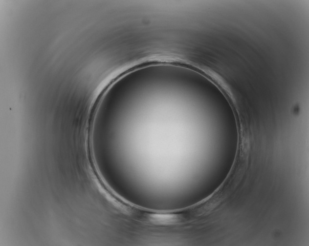 X0000112901343200908281715