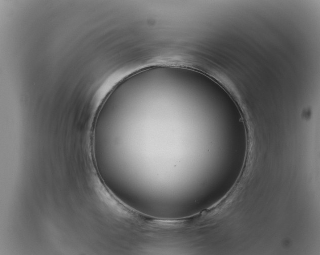 X0000112901344200908281715