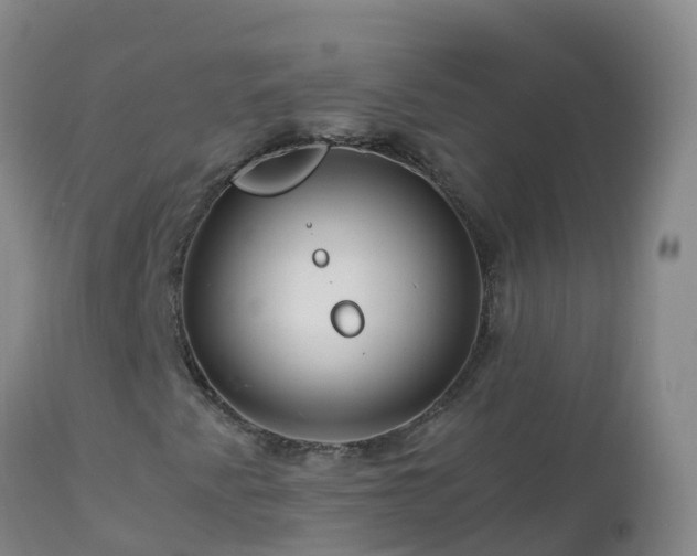 X0000112901345200908281715