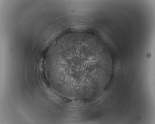 X0000112901346200908281715