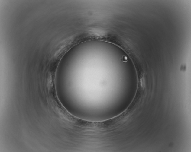 X0000112901347200908281715