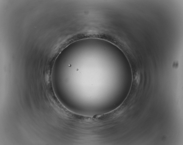 X0000112901348200908281715