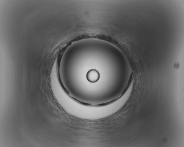 X0000112901349200908281715