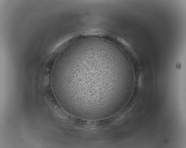 X0000112901350200908281715