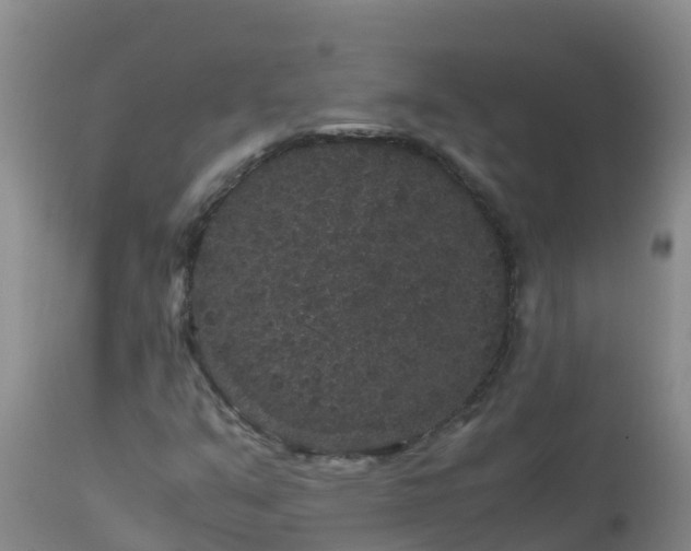 X0000112901351200908281715