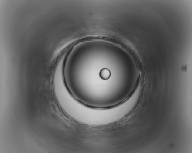 X0000112901352200908281715