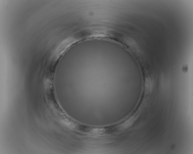 X0000112901353200908281714