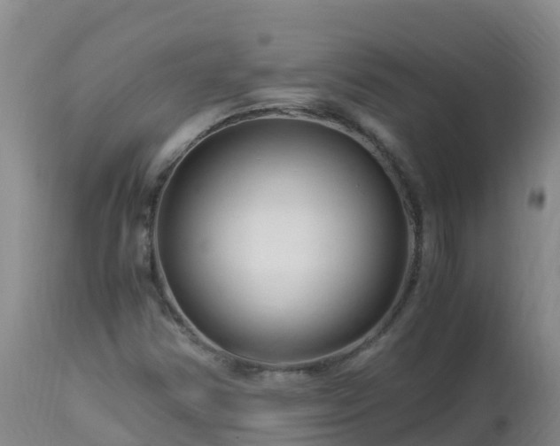 X0000112901354200908281714