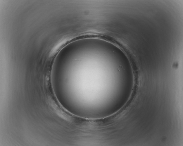 X0000112901355200908281714