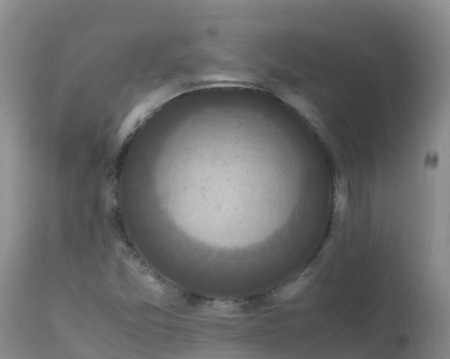 X0000112901357200908281714