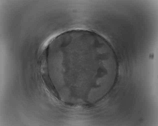 X0000112901359200908281714