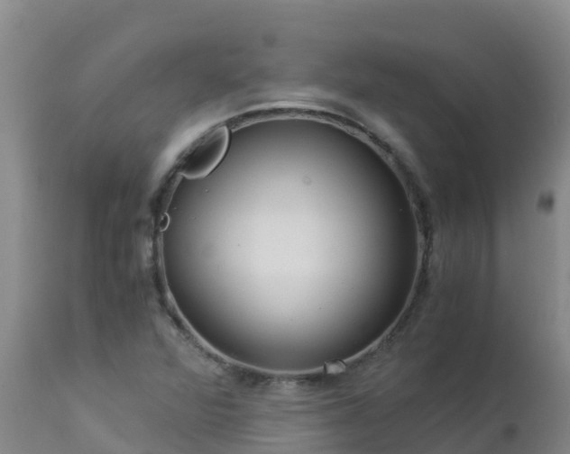 X0000112901360200908281714