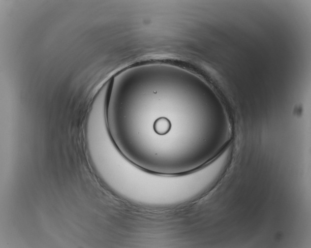 X0000112901361200908281714