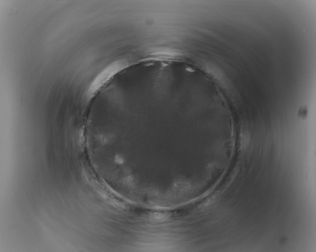 X0000112901362200908281714