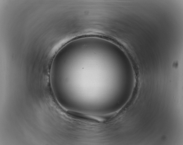 X0000112901363200908281714