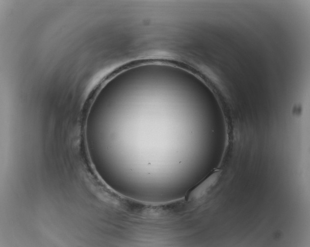 X0000112901364200908281714