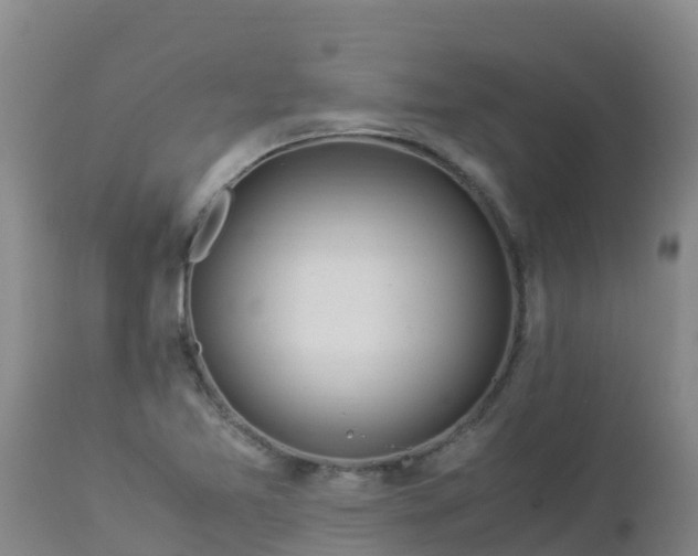 X0000112901365200908281714