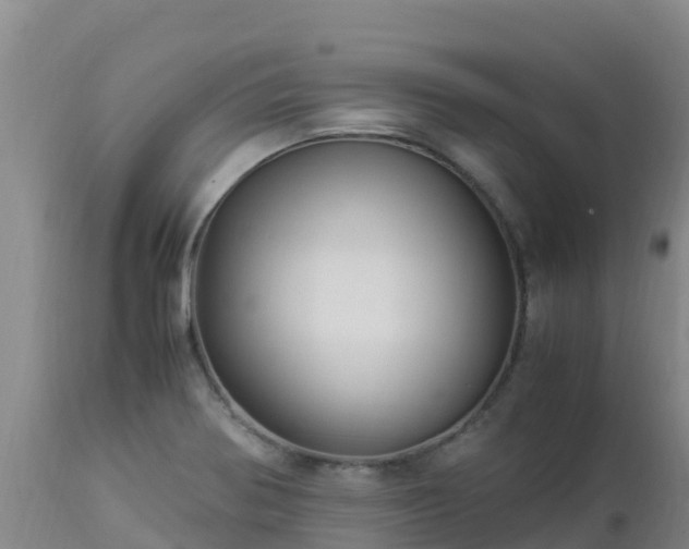 X0000112901370200908281714