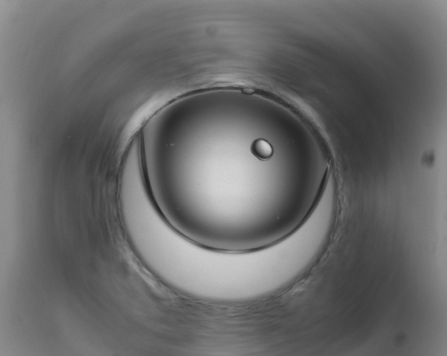 X0000112901373200908281714